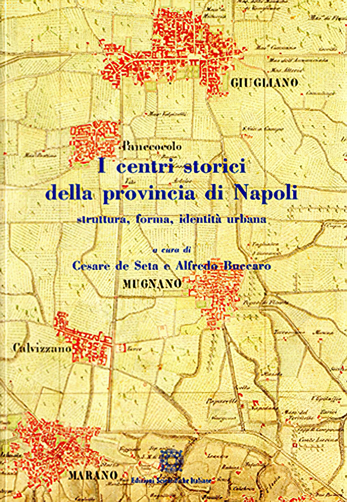 I centri storici della provincia di Napoli (2009)